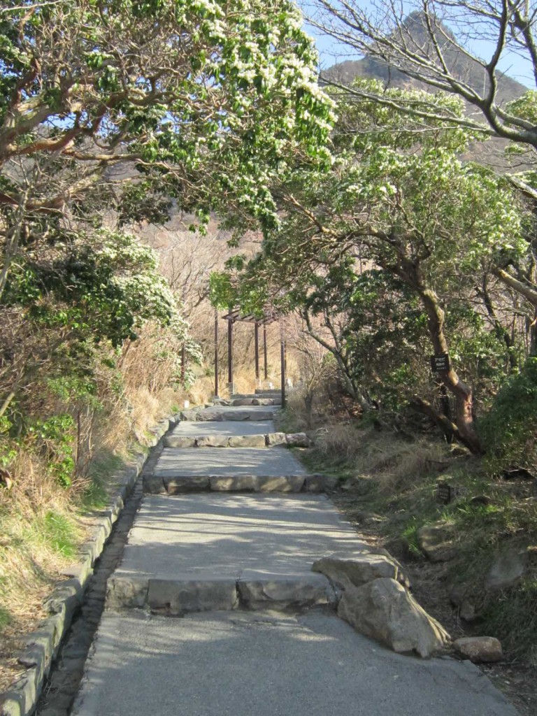 大涌谷噴気孔への道