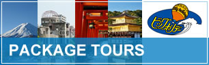 PACKAGE TOURS