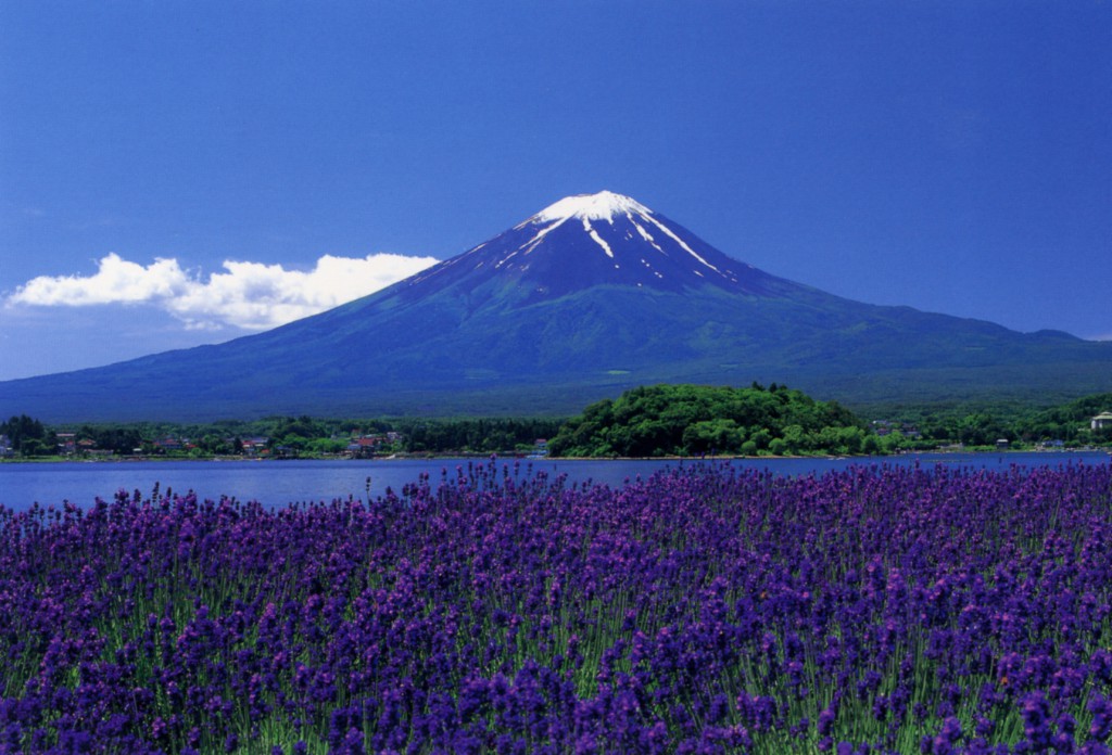 Mt. Fuji  (河口湖町観光課提供)