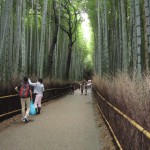 Bamboo Forest at Arashiyama
